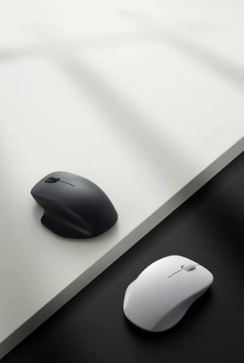 Mouse